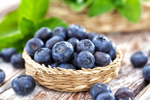 Fresh blueberry