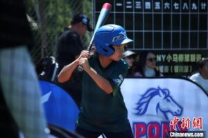pony-