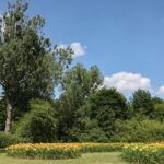 unnamed-file-603