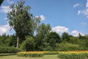 unnamed-file-603