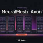 WEKA-og-pr-wire-neuralmesh-axon