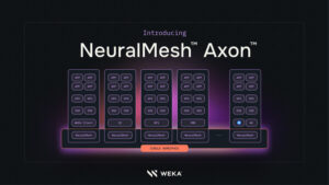 WEKA-og-pr-wire-neuralmesh-axon