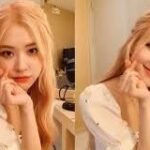 rose-110-youtube-
