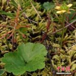 unnamed-file-24