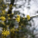 unnamed-file-57