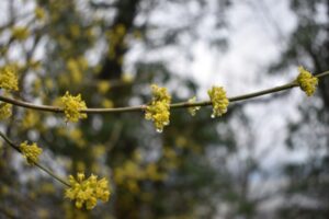 unnamed-file-57