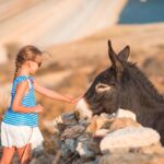 Little adorable girl with donkey in its wild habitat
