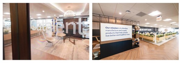 image-5003065-29995669