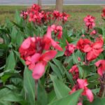 unnamed-file-1139