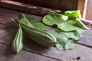angled gourds fresh