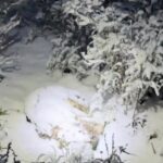 unnamed-file-825