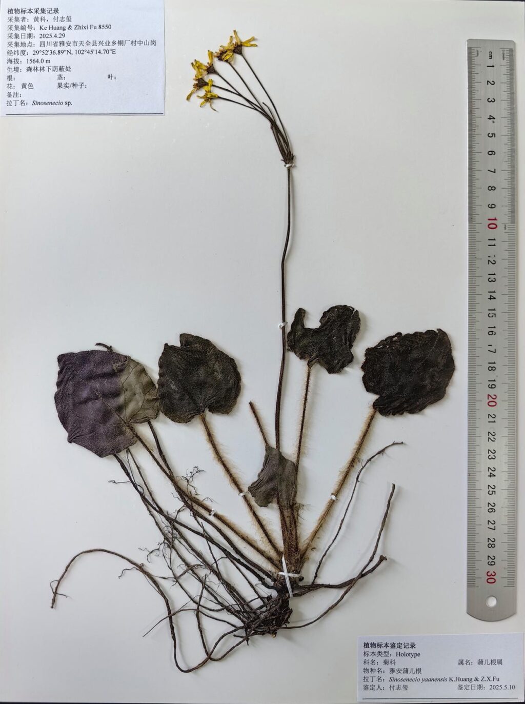 unnamed-file-871