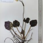 unnamed-file-871