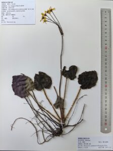 unnamed-file-871