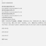 vivo-x300-pro-magic-8-3c-90w-