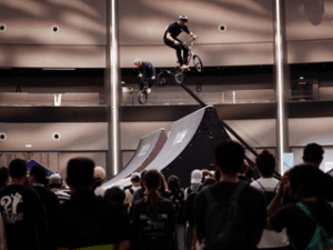 fise-huffy-