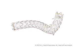 GORE VIABIL Biliary Endoprosthesis