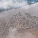 unnamed-file-384