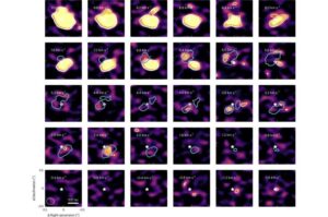 unnamed-file-836