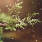 unnamed-file-891