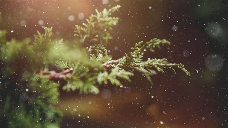 unnamed-file-891