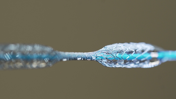 Coronary medical stent