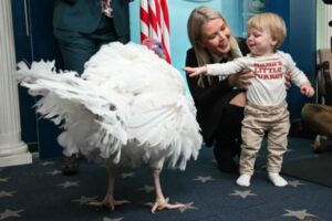 US President Donald Trump and First Lady Melania Trump participate in the White House turkey pardon ceremony.