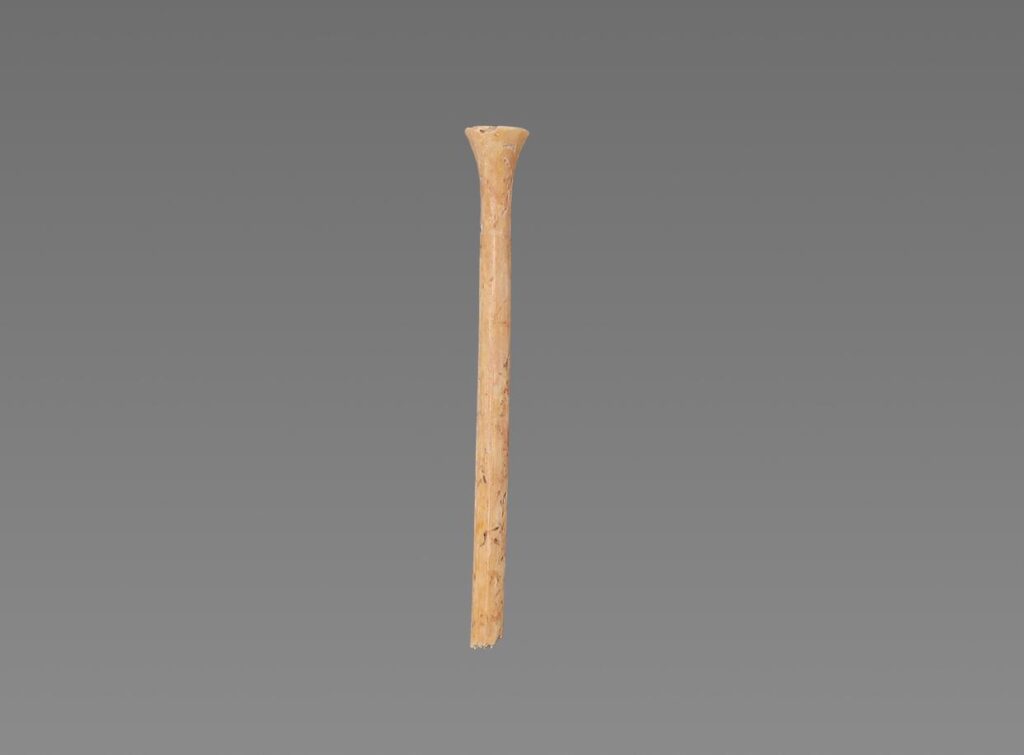 unnamed-file-635