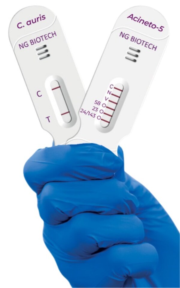 C-auris-Acineto-5-cassettes