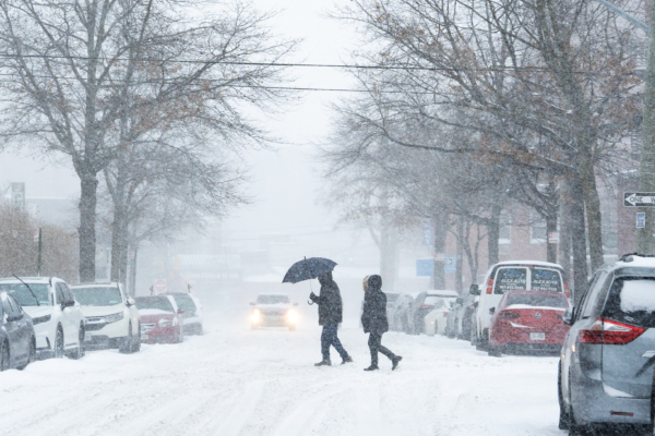 winter, snow, snowstorm, snow storm, snowing, cold