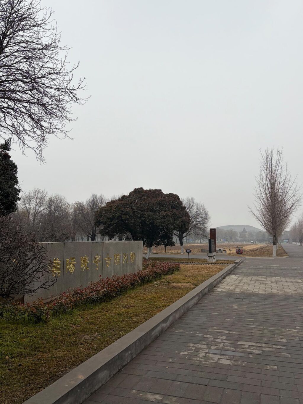 unnamed-file-990