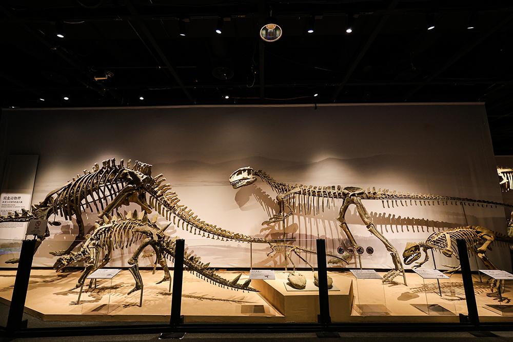 中国恐龙大展闭幕，九个月吸引223万观众