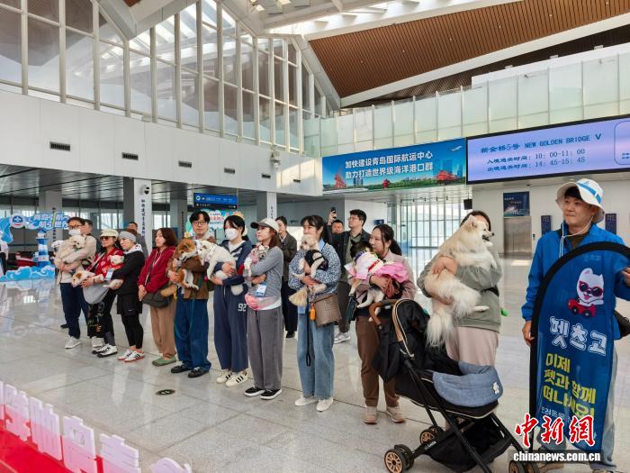 外籍游客赴华旅游新趋势：从“打卡”到“体验”