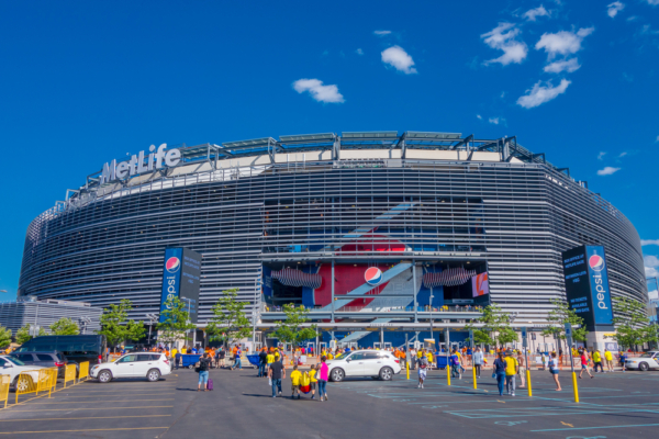 New,York,,Usa,-,November,22,,2016:,Unidentified,Ecuadorian,Fans