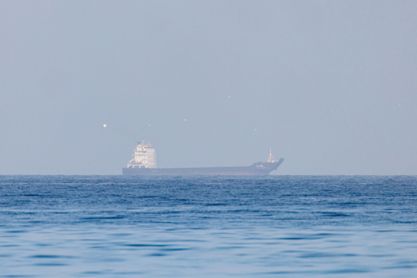 UAE And Allies Condemn 'De Facto Closure' Of Strait Of Hormuz By Iran