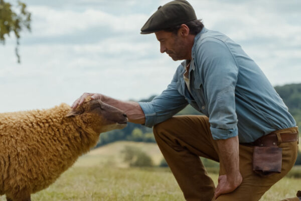 THE SHEEP DETECTIVES